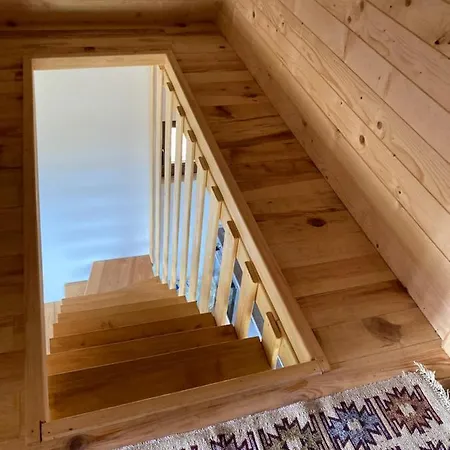 Brvnara “vidik Breg”