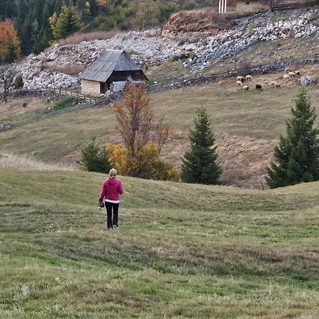 別荘 Brvnara “vidik Breg”