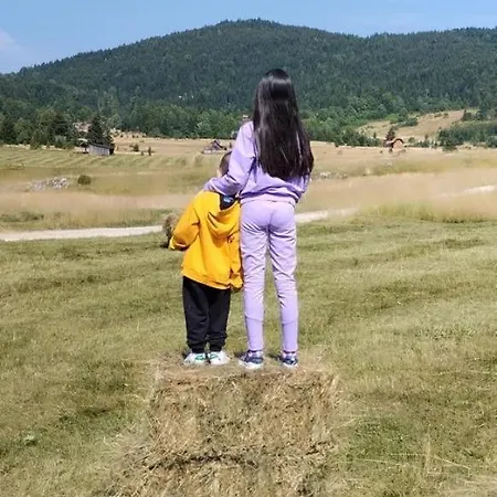 Brvnara “vidik Breg” *