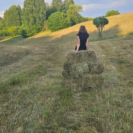 Brvnara “vidik Breg” Sekulic