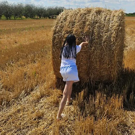 Brvnara “vidik Breg” 別荘 Sekulic