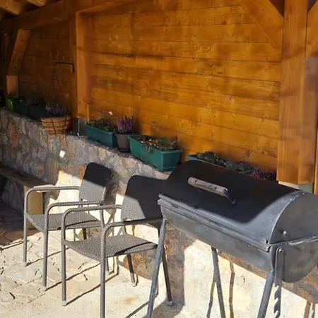 Brvnara “vidik Breg” 別荘 *