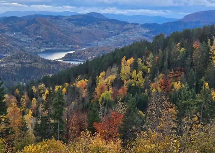 Brvnara “vidik Breg” Case de vacanță