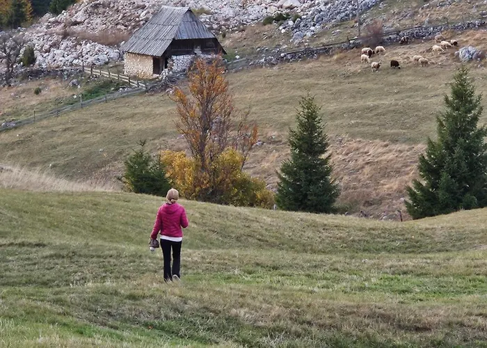 Case de vacanță Brvnara “vidik Breg”