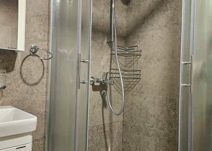 Case de vacanță Brvnara “vidik Breg” *