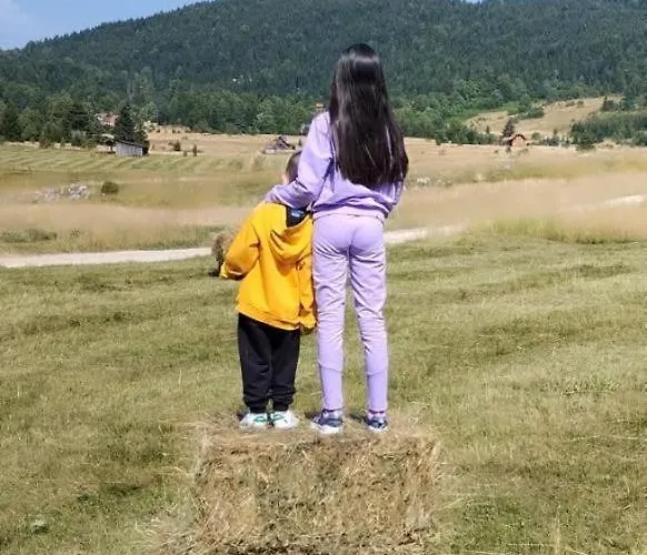 Brvnara “vidik Breg” *