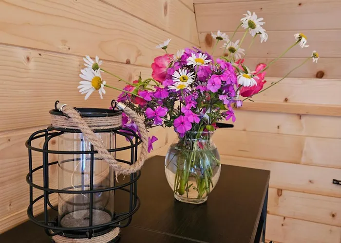 Brvnara “vidik Breg” * Sekulic