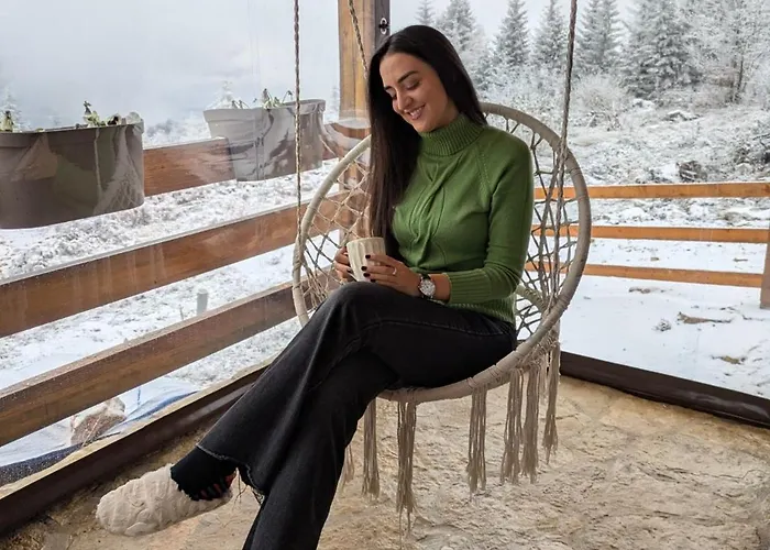 Case de vacanță Brvnara “vidik Breg” *