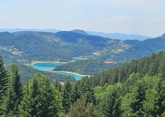 Brvnara “vidik Breg” Case de vacanță *