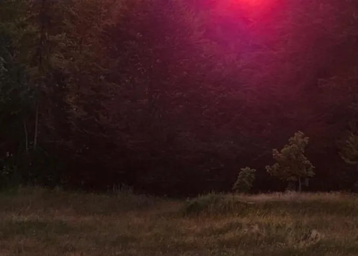 Prázdninový dům Brvnara “vidik Breg” Sekulic