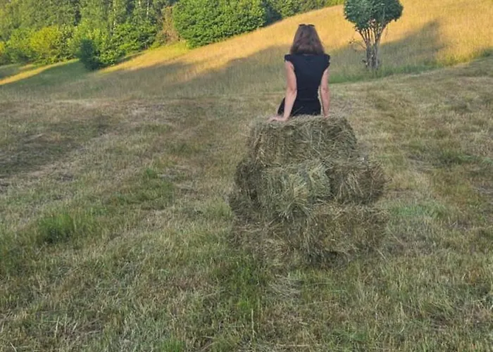 Brvnara “vidik Breg” Sekulic