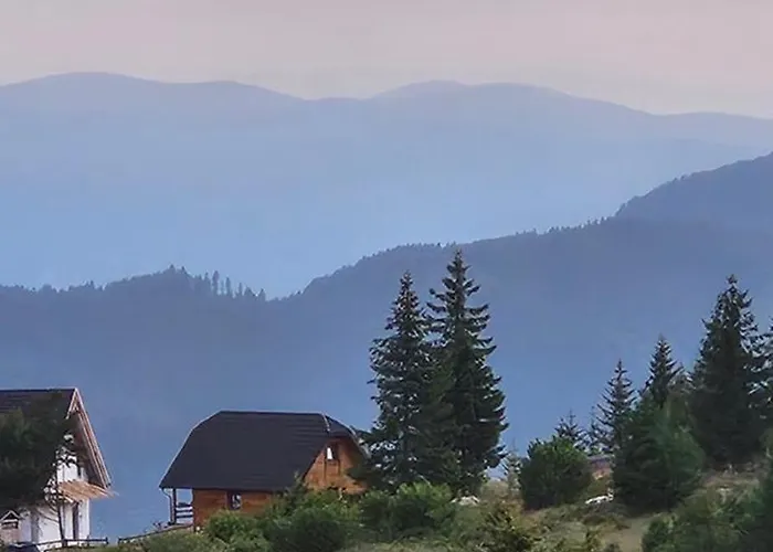 Case de vacanță Brvnara “vidik Breg” *