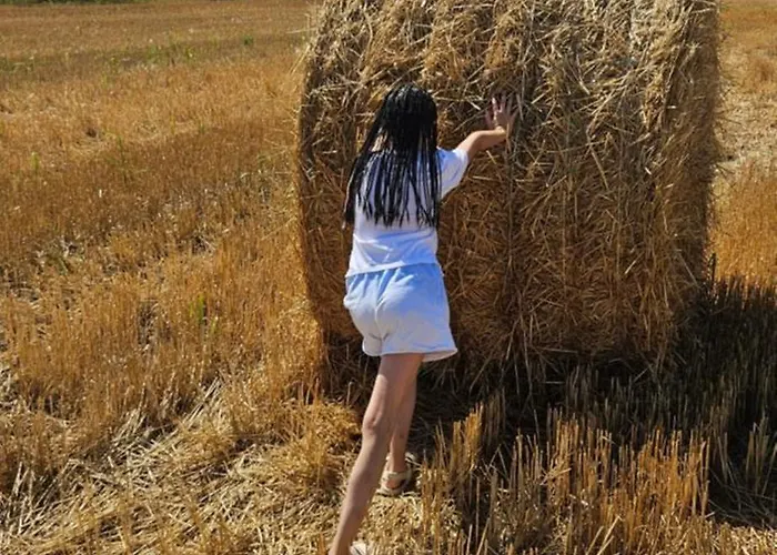 Brvnara “vidik Breg” Prázdninový dům Sekulic