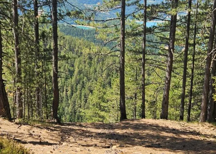 Brvnara “vidik Breg” * Sekulic